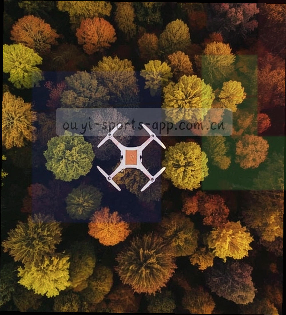 竖排名次表与等宽数字组成的排名视图示意